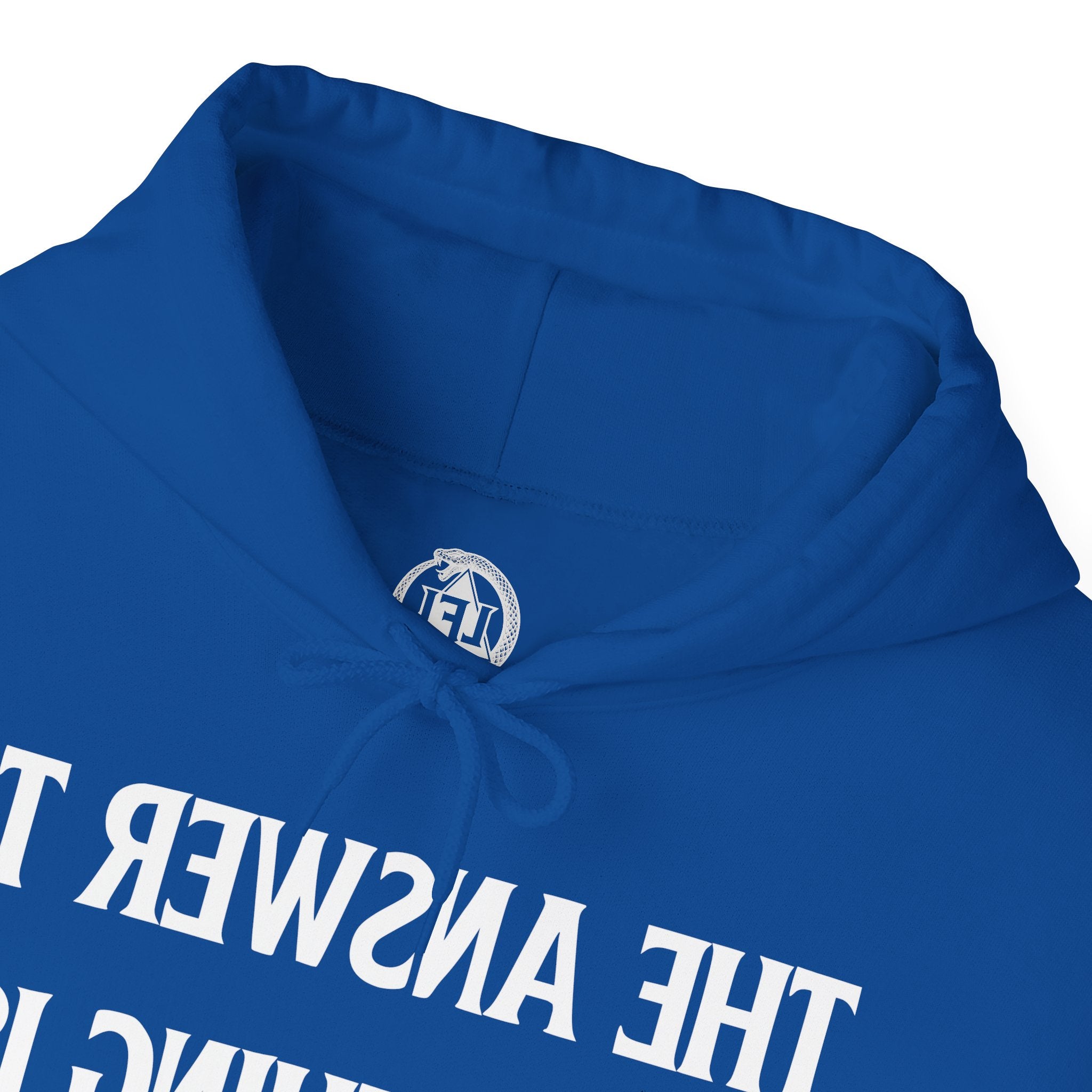 Raw Response - Hoddie