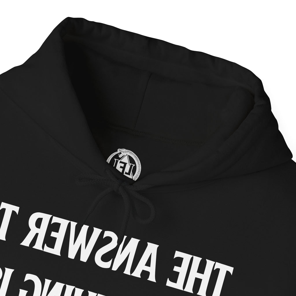 Raw Response - Hoddie