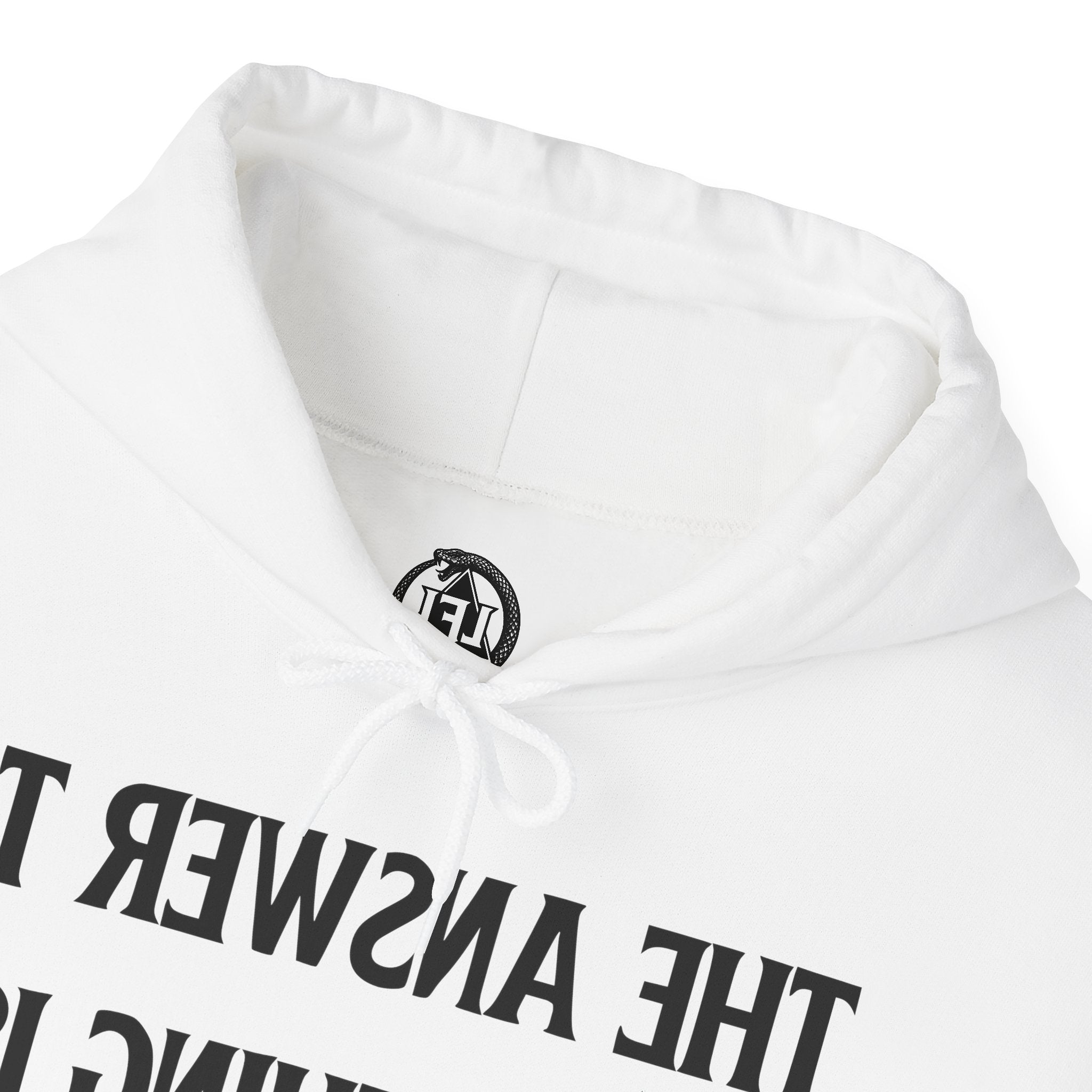 Raw Response - Hoddie