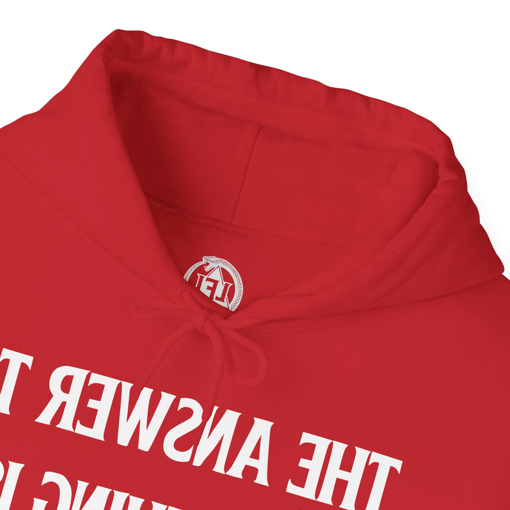 Raw Response - Hoddie