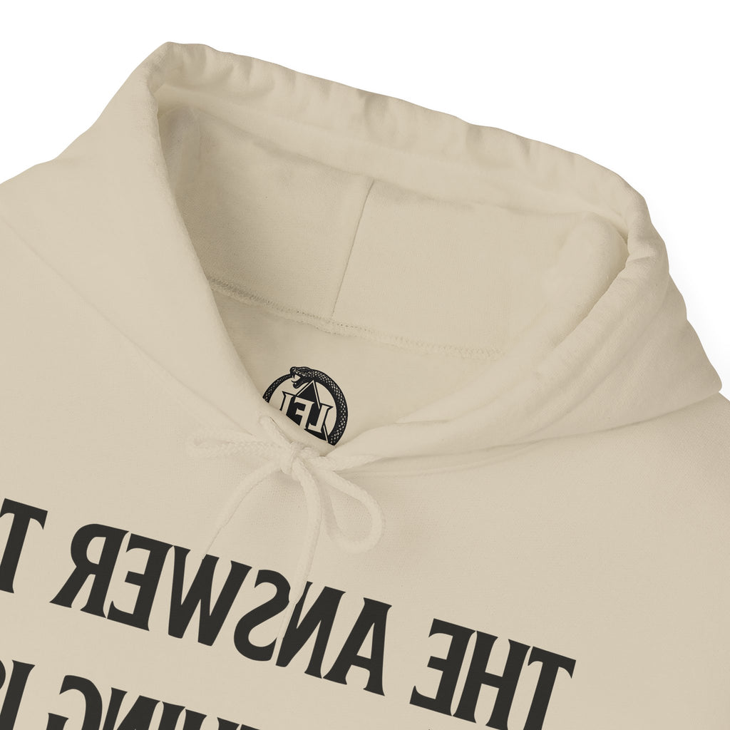 Raw Response - Hoddie