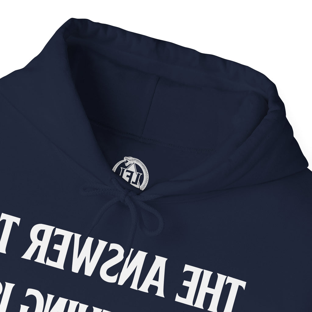 Raw Response - Hoddie